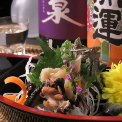 活サザエ 刺身　1個