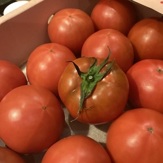 不知火産塩トマト