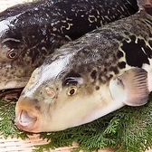 姫路和屋 武蔵 たけぞうのおすすめ料理3