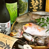 【魚は熟成×活き】