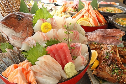 �͂Ȃ̖� �܂���� ���[�g�C������X �C�N�_�C�j���O