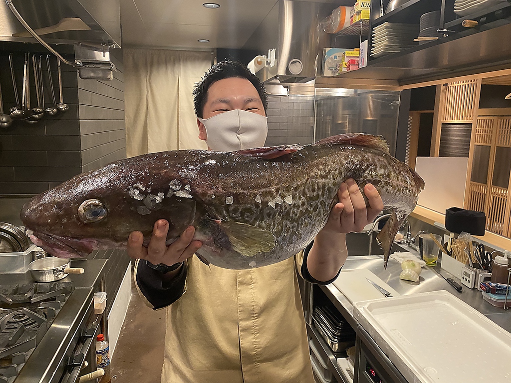 新鮮な鮮魚を提供してます。