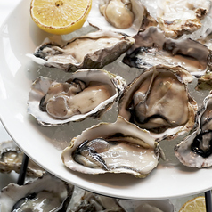 オイスタータワー20ｐ