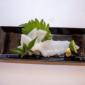 極上の旨味が広がるいか相盛り刺身定食。口の中でふんわり溶ける至福の味わいをご提供します