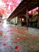 【秋】離れへの行く途中にある廊下　雨が降った翌日の風景