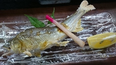 日本料理 まるいのコース写真