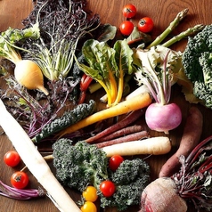 LIZARRAN リザラン グリーンスプリングス 立川店特集写真1