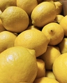 料理もドリンクも広島県産レモンしか使用しません！