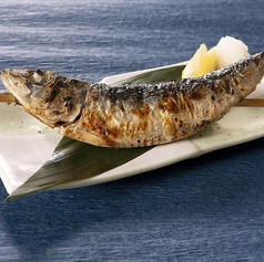 〈新〉かぶりつき大トロいわし