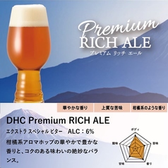 プレミアム・リッチエール 250ml