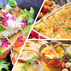 大衆ビストロ ハシトロのコース写真