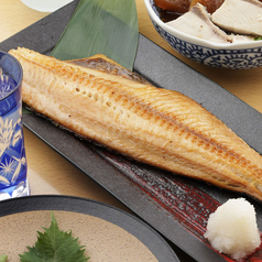 ホッケ