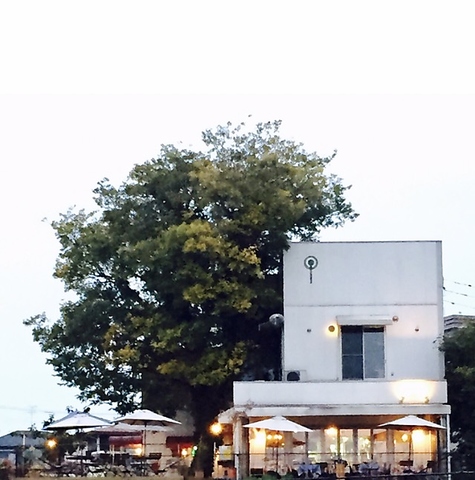 気取らないイタリアン