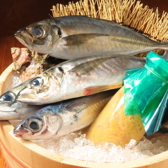 今が旬の食材を一番美味しい食べ方でご提供