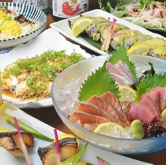 かめ福のコース写真