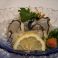 北海道　厚岸産かき　酢・フライ・長芋グラタンカキとキムチのオムレツ