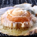 料理メニュー写真&nbsp;大活帆立の醤油バター焼き