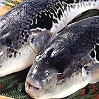 厳選された魚を最高の状態で