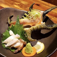 クモガイのお造り