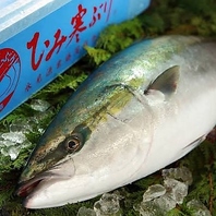 鮮度抜群！獲れたての魚介類は脂がのって旨い◎