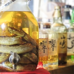 鸞土 らんどの特集写真
