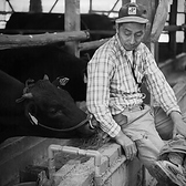 焼肉 梁井のおすすめ料理2