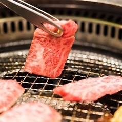 北海道十勝炙り居酒屋たんじろう特集写真1