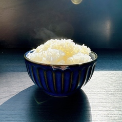 白ご飯
