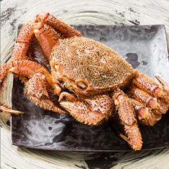 銀座 蟹みつのコース写真