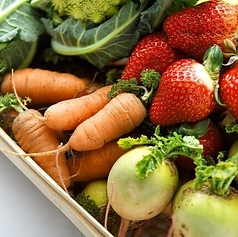 デルフィーナの写真2