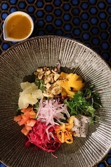 30品目エスニックスローサラダ マンゴービネグレット