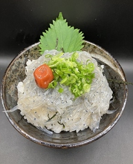 活　生しらす丼定食　