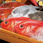 本格板前居酒屋 お魚総本家 月島店のおすすめ料理3