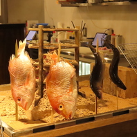 こだわりの原始焼き◎毎日仕入れた地魚を楽しむ