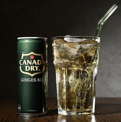 Dry Ginger Ale