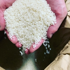 ※リゾットは玄米に近い8～7部精米でご提供致します。