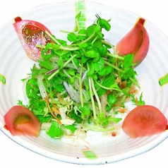 ●シャキシャキ野菜のサラダ【Fresh vegetable salad】