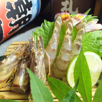 車海老をはじめ、中とろやかんぱち、赤貝など旬ものを日替わりで