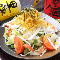 カリカリ大根サラダ/トマトサラダ/豆腐サラダ