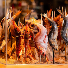 またこよの写真