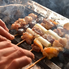 炭火焼き鳥を楽しむ贅沢ランチタイム