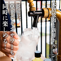 卓上レモンサワー飲み放題 焼肉ホルモンたけ田 札幌駅前店のおすすめポイント1