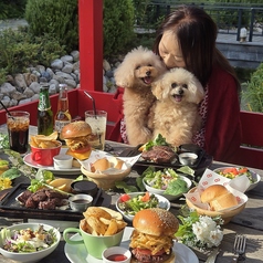 愛犬と一緒に神戸牛を楽しめる、ペットOKの大人気テラス席。目の前を流れる川の上にテーブルがある非日常的な空間はSNS映え抜群です！ランチからディナーまで、昼夜で異なる美しい景色を眺めながら、特別な時間をお過ごしいただけます。