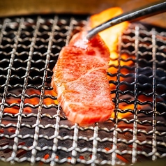 将龍苑 浦安店の特集写真