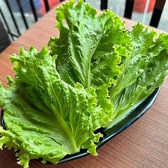 包み菜
