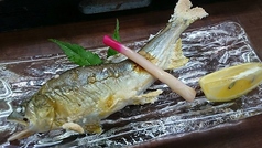 日本料理 まるいのコース写真