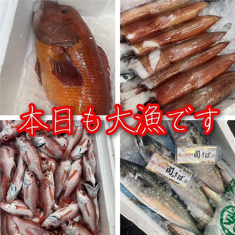 倉敷駅近くでお仕事帰りに立ち寄りやすい♪新鮮な地魚や絶品出汁のおでんが愉しめる♪