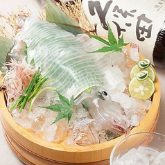 生簀から捌いて提供!泳ぎイカ造り【量り売り】