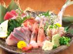 毎日富山県と館山から直送した新鮮な魚たちを味わうならやっぱりお刺身で！