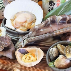漁師盛り 中盛り